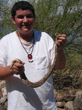 Mojave or Western Diamondback???